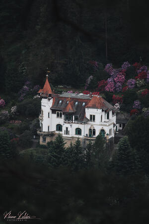 Objekte & Natur