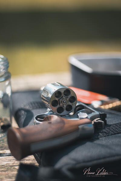 S&W 686 Revolver